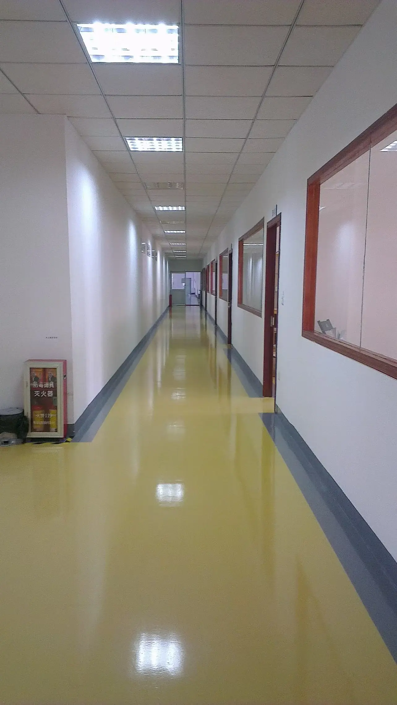 Colight factory corridor with windows into adjacent work areas